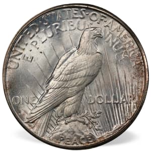 Peace Dollars (1921-1935) - 2